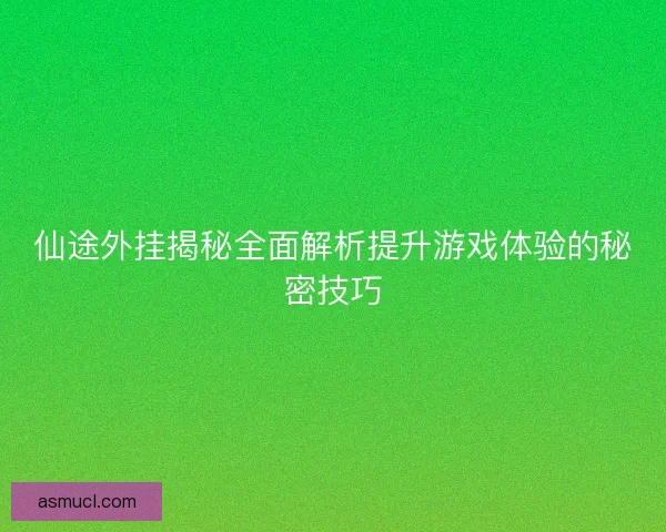 仙途外挂揭秘全面解析提升游戏体验的秘密技巧